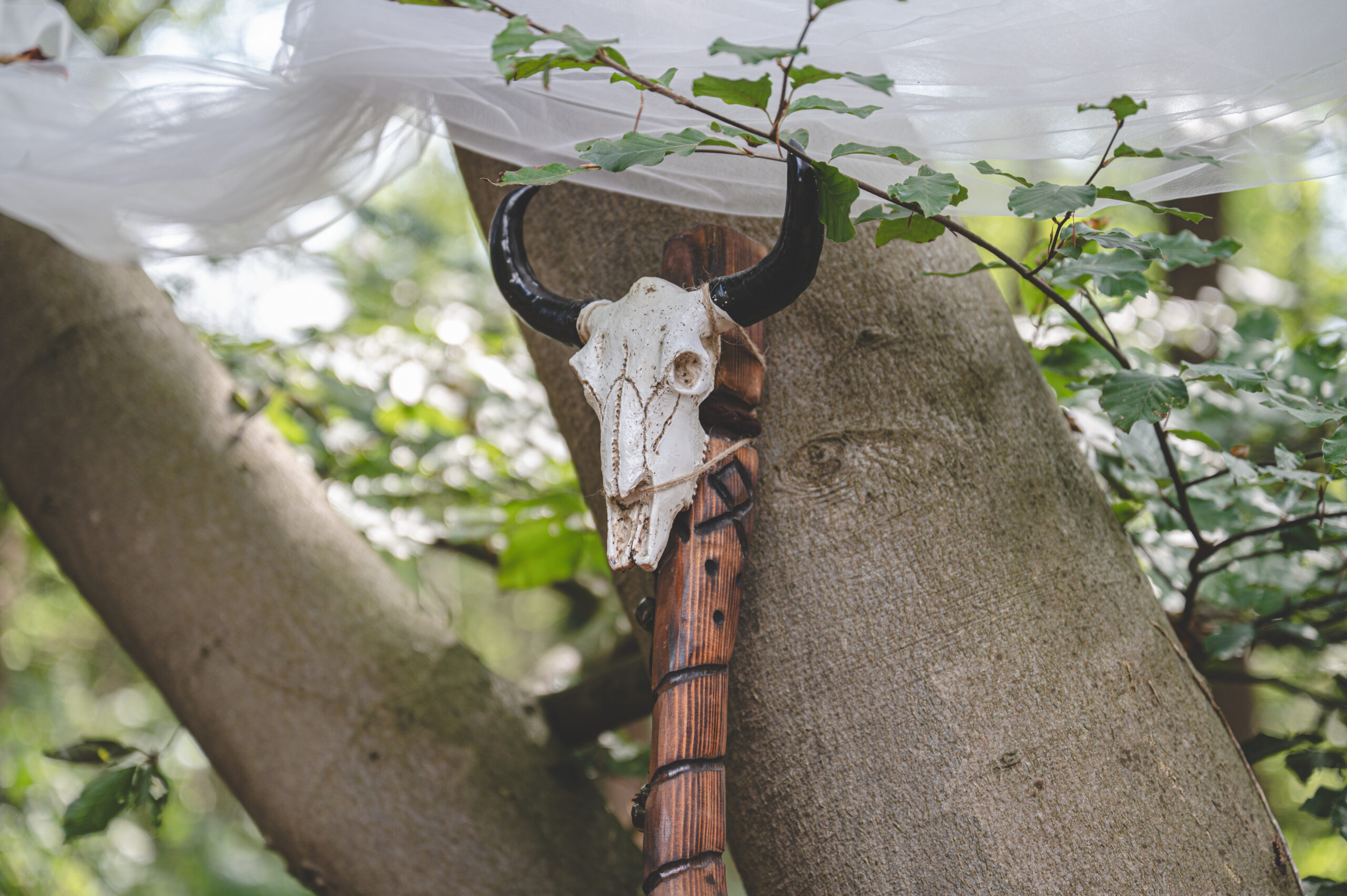 250830_mschmidtburken_038